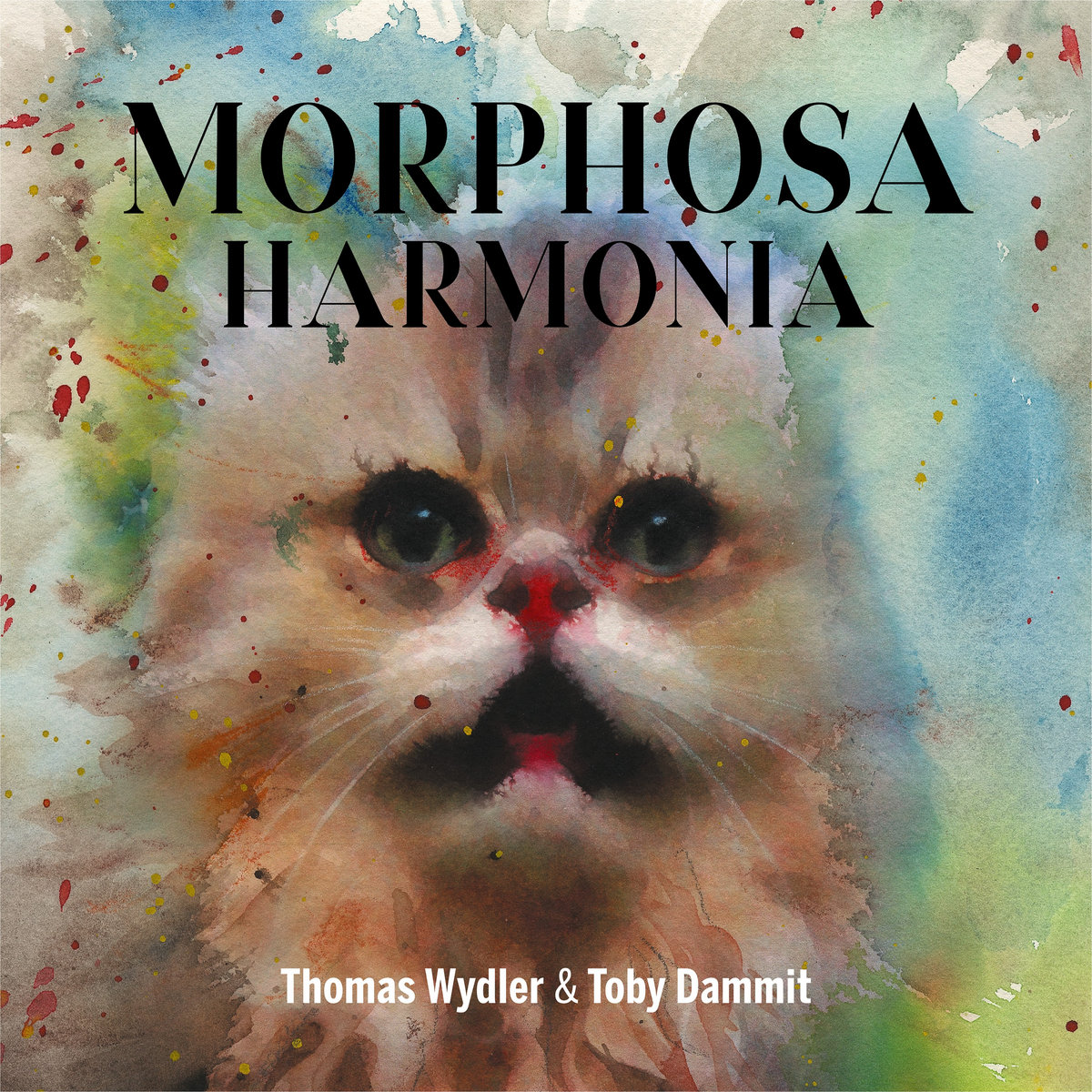 morphosa_harmonia