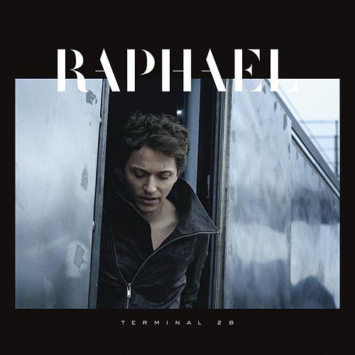raphael_terminal_2b.jpg