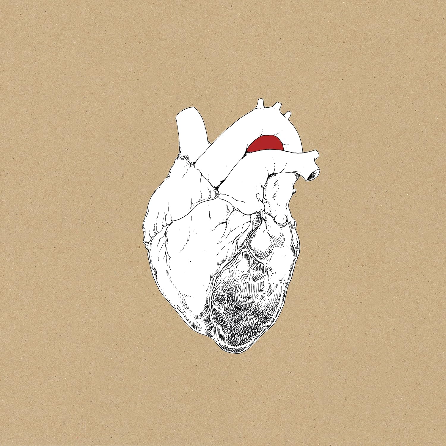 swans_the_beggar